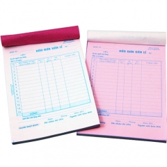 Hóa đơn 2 liên 13x19cm - loại 1