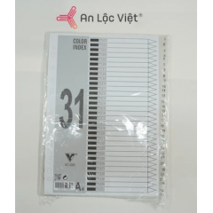 Bìa phân trang nhựa 31 số 
